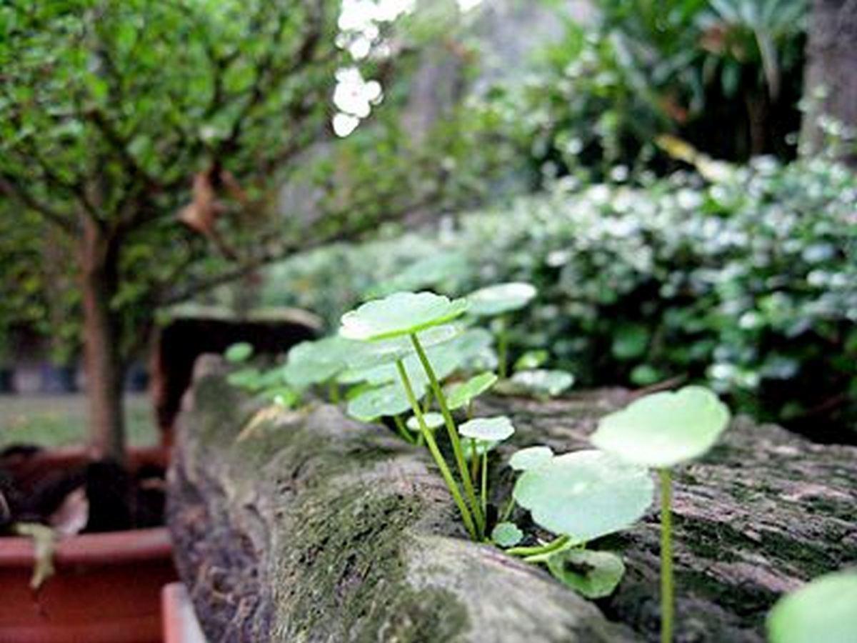 Leesort @ Onnuch Hotel Bangkok Ngoại thất bức ảnh